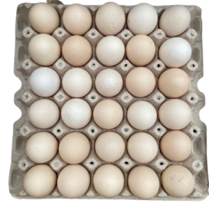 Jaja wiejskie – 30 sztuk, świeże i naturalne (sprzedawane na opakowanie)